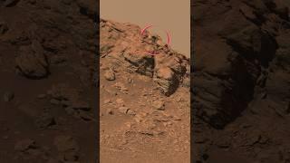 InfMars - Perseverance Sol 718 - Shorts Video 2 “Pinestand”
