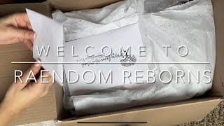  2023 Christmas Baby - Reborn Doll Box Opening 