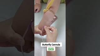 Butterfly Cannula practice  #reels #viralvideo #viral #medical #bscnursing #ytshort #shorts