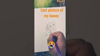 pencil art of my  bunny miss u alot   #shorts