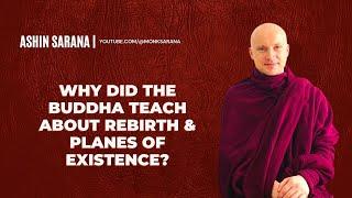 Why Did The Buddha Teach About Rebirth And Planes Of Existence?