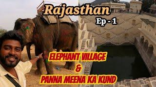 elephant village in jaipur  panna meena ka kund  Rajasthan tamil vlog  drron