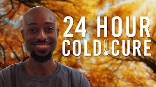 How To Cure A Cold In One Day - Home Made Remedies