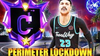These LOCKDOWN DEFENDER BUILDS will DOMINATE in NBA 2K24