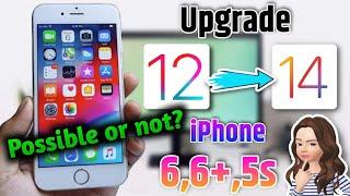 How to Update iPhone 66+5s on ios 14?  How to Install ios 14 Update on iphone 6 and 5s