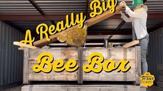 A Really Big Bee Box