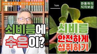 식의보감 수은이 들어있다는 쇠비름 안전하게 섭취하는 방법은 없을까?