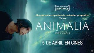 Animalia - Tráiler VOSE - 5 de Abril Estreno en Cines.