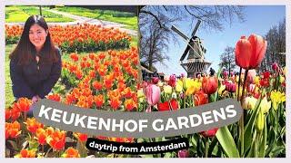 KEUKENHOF GARDENS IN 2021  VLOG + How to see the tulip fields from Amsterdam