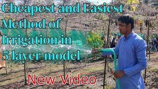 Cheapest and easiest method of irrigation in 5 layer Model by Akash Chourasiya. Part-1