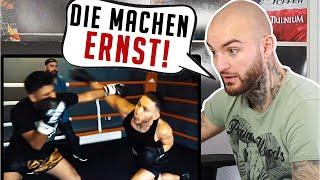 YouTuber Boxen ESKALIERT Er will SCHUTZGELD und kassiert  CEMS Box Battle 2019 - RINGLIFE reaction