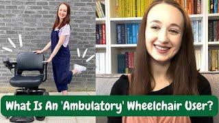 WHAT IS AN AMBULATORY WHEELCHAIR USER? USING MOBILITY AIDS WITH CHRONIC ILLNESS - LIFE OF PIPPA