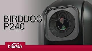 BirdDog P240 PTZ Camera - A high performance addition to the NDI eco-system