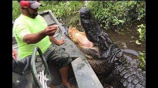 SUPER AWESOME AIRBOAT RIDE THROUGH THE SWAMPS OF LOUISIANA