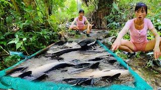 The girl used two different types of fish traps to harvest many types of large fish