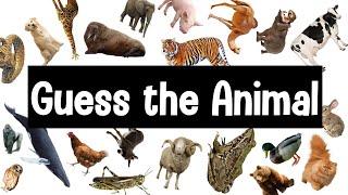 Guess the Animal Sound Game  30 Animal Sounds Quiz  Wildlife Trivia