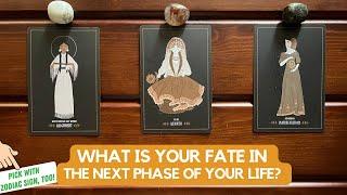 What Is Your Fate In The Next Phase of Your Life?  Timeless Reading