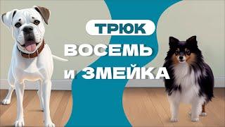 Трюки восемь и змей выучить трюк восьмерка и змейка