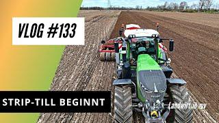 Vlog #133 Kverneland U-Drill Färberdistel Saat + wir beginnen mit Strip-Till