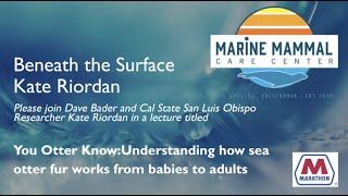 Beneath The Surface Sea Otter Fur With Kate Riordan