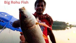 100% Fishing Video by Amazing Big Rohu Fish Hunting Medicine The Hook Video