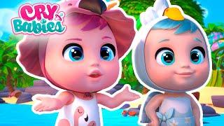 Spécial Été Tropical  CRY BABIES Magic Tears  Épisodes Complets  Dessins Animés