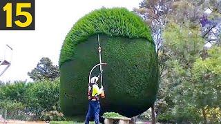 15 AMAZING Hedges and Landscaping Work