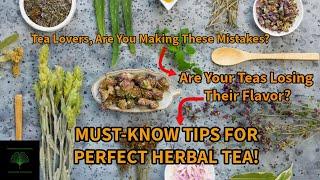 Herbal Tea Mastery Extraction and Storage Guide