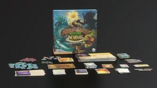 Spirit Island Nature Incarnate Launch Video