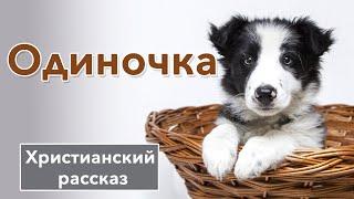  Одиночка - ИНТЕРЕСНЫЙ ХРИСТИАНСКИЙ РАССКАЗ  Христианские рассказы