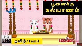 Poonaikku Poonaikku Kalyanam Cat Marriage Song  பூனைக்கு கல்யாணம்  Tamil Rhymes  