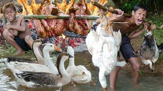 Primitive Technology - Kmeng Prey - Meet Goose In Water Catching Cooking
