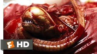 Alien 1979 - Chestburster Scene 25  Movieclips