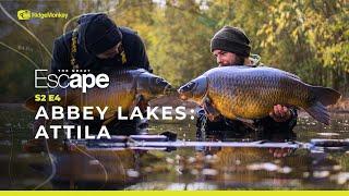 THE GREAT ESCAPE  S2 E4  Abbey Lakes Attila
