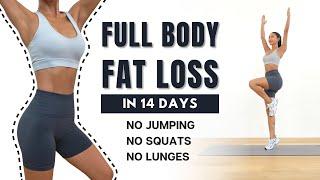 FULL BODY FAT LOSS in 14 Days 30 MIN Non-stop Standing Workout - No Jumping No Squats No Lunges