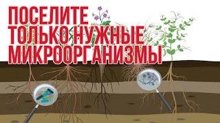 Какие как и когда внести микробы в почву чтоб она оздоровилась и стала плодродной