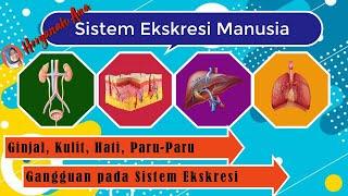 Sistem Ekskresi Manusia Kelas 8 SMP