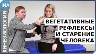 Вегетативные рефлексы и старение человека. Прикладная кинезиология. Людмила Васильева