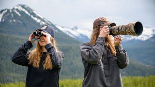 Our First Week Of Wildlife Photography  Yellowstone National Park