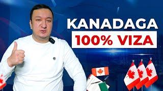 KANADAGA 100% VIZALAR