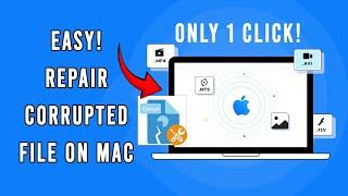 How to repair corrupted MP3MP4PNG and other files on MAC