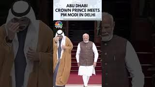 PM Modi Holds Bilateral Talks With Crown Prince Of Abu Dhabi In Delhi  India-UAE Ties  N18S