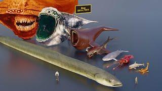Largest sea creatures size comparison 3D animation  #animation
