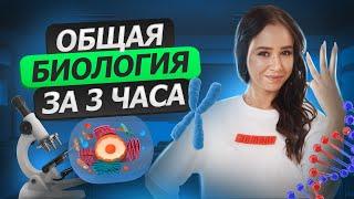 Общая биология за 3 часа. Самые важные темы для ЕГЭ  Биология ЕГЭ 2023  Умскул