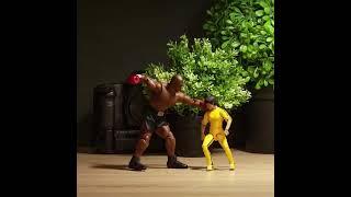 Bruce Lee VS Mike Tyson  Final version  Stop Motion