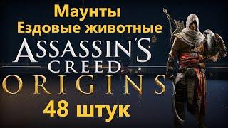 Assassins Creed Origins - Все Ездовые животныемаунты  48 штук 