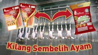 Rumah Sembelihan Ayam Segar Delima Emas Bersih & HALAL