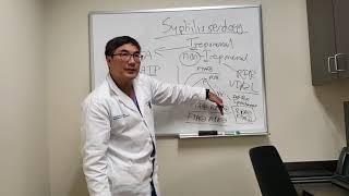 Syphilis Serologies