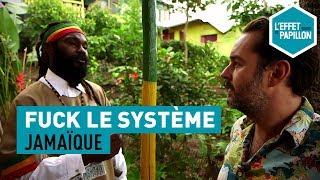 Fuck le système  En Jamaïque chez les rastas - L’Effet Papillon