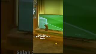 Gerakan Kucing ini Lebih Cepat Dari Bola Fenalty#shots #animals